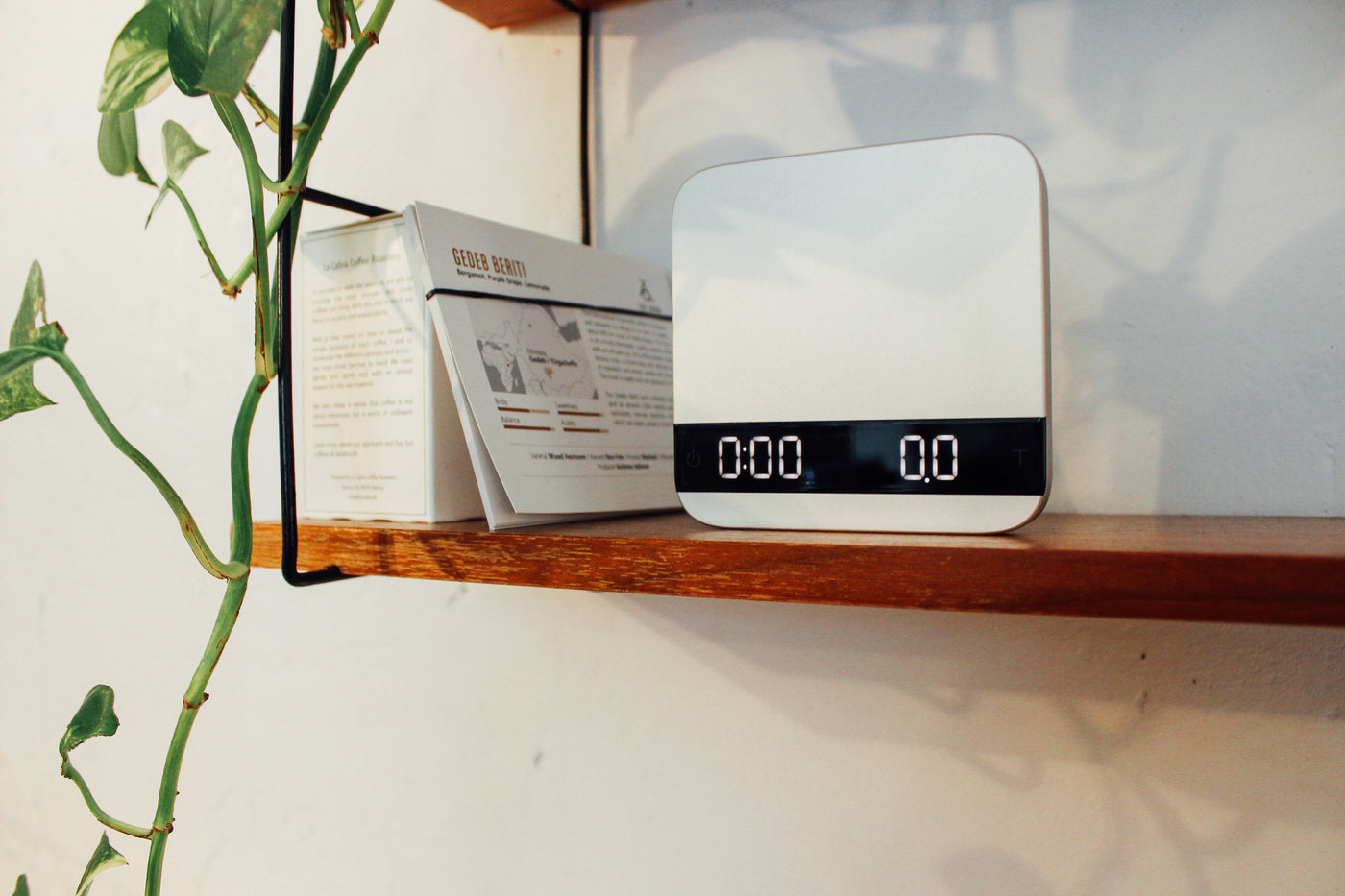 silver acaia lunar precision coffee scale on wooden shelf